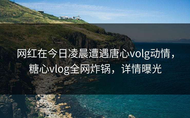 网红在今日凌晨遭遇唐心volg动情,糖心vlog全网炸锅,详情曝光 网红在今日凌晨遭遇唐心volg动情,糖心vlog全网炸锅,详情曝光