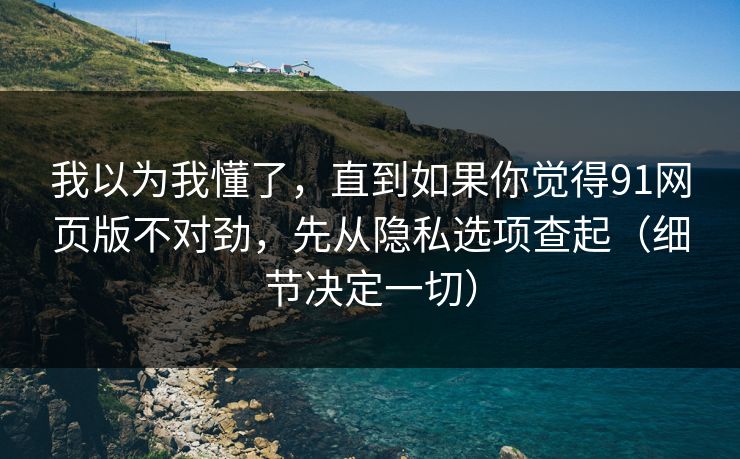 我以为我懂了，直到如果你觉得91网页版不对劲，先从隐私选项查起（细节决定一切）