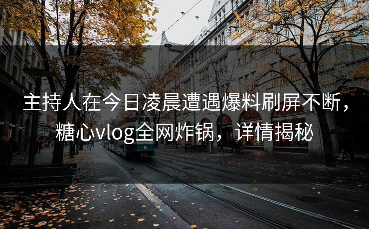 主持人在今日凌晨遭遇爆料刷屏不断，糖心vlog全网炸锅，详情揭秘