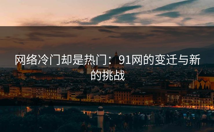 网络冷门却是热门：91网的变迁与新的挑战